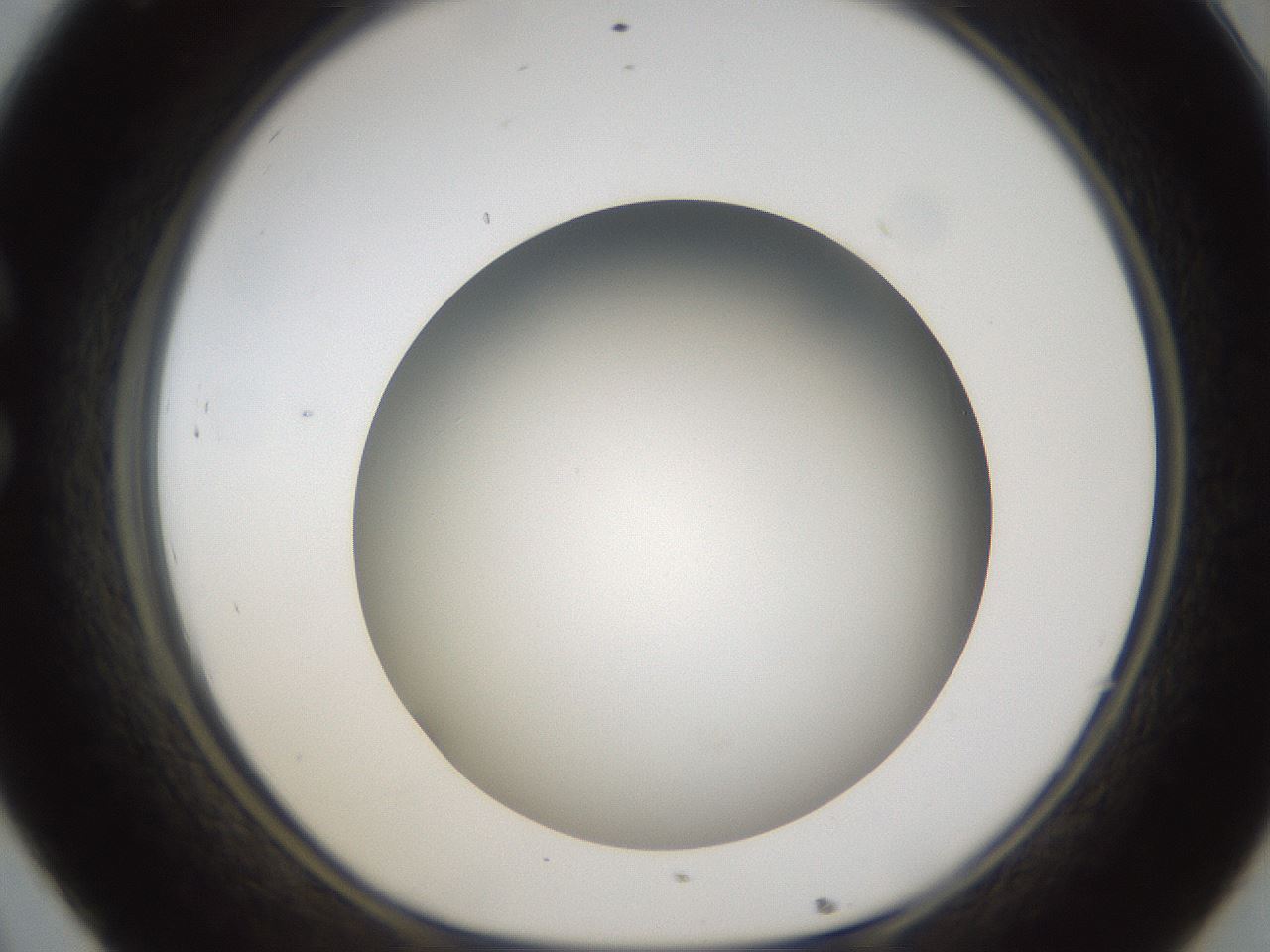 folderID301_plateID1301_batchID4294_wellNum32_profileID1_d1_r77943_ef.jpg