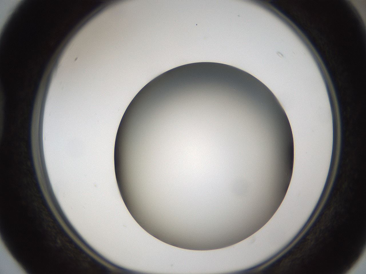 folderID301_plateID1301_batchID4294_wellNum40_profileID1_d1_r77951_ef.jpg