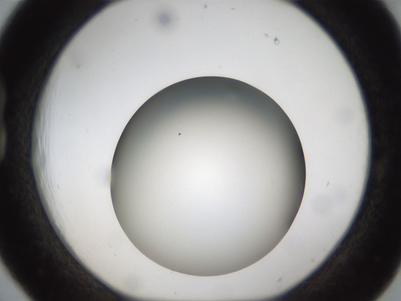folderID301_plateID1301_batchID4294_wellNum18_profileID1_d1_r77929_ef.jpg