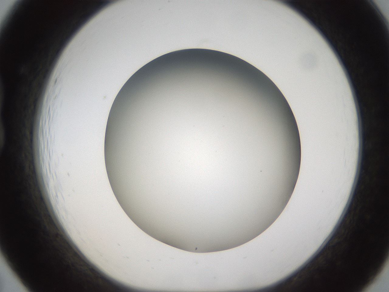folderID301_plateID1301_batchID4294_wellNum19_profileID1_d1_r77930_ef.jpg