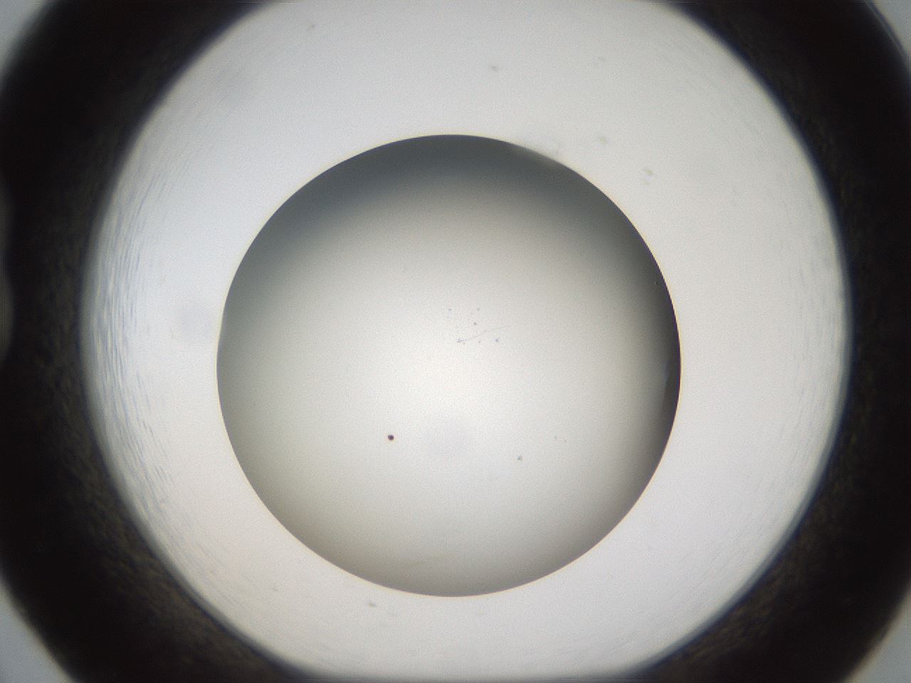folderID301_plateID1301_batchID4294_wellNum20_profileID1_d1_r77931_ef.jpg