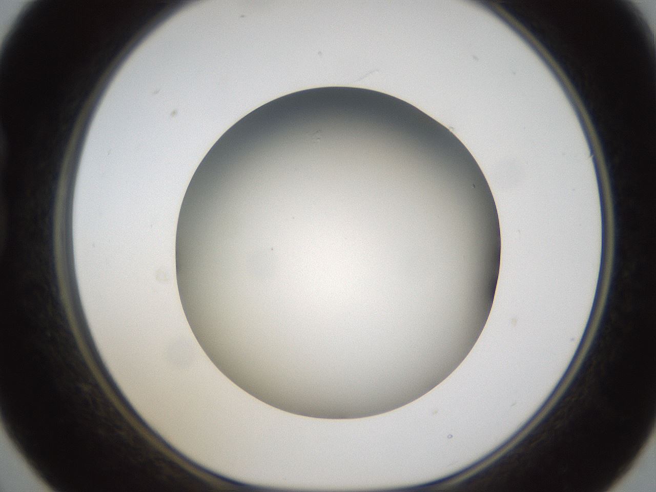 folderID301_plateID1301_batchID4294_wellNum21_profileID1_d1_r77932_ef.jpg