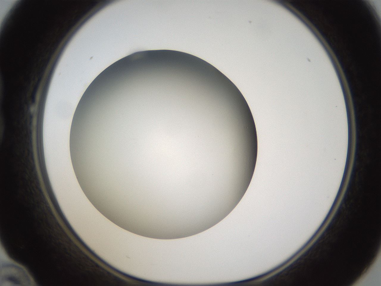 folderID301_plateID1301_batchID4294_wellNum22_profileID1_d1_r77933_ef.jpg