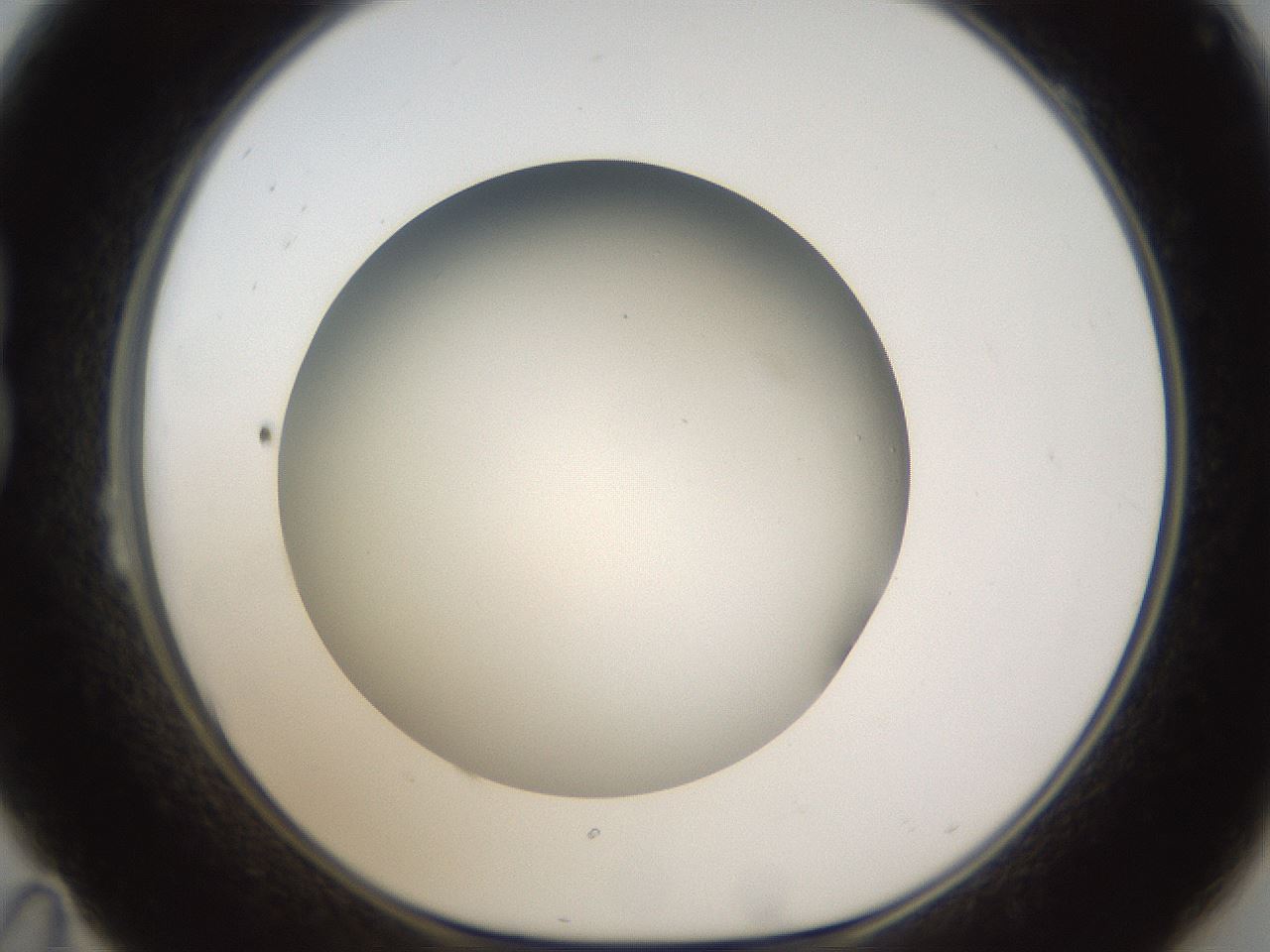 folderID301_plateID1301_batchID4294_wellNum23_profileID1_d1_r77934_ef.jpg