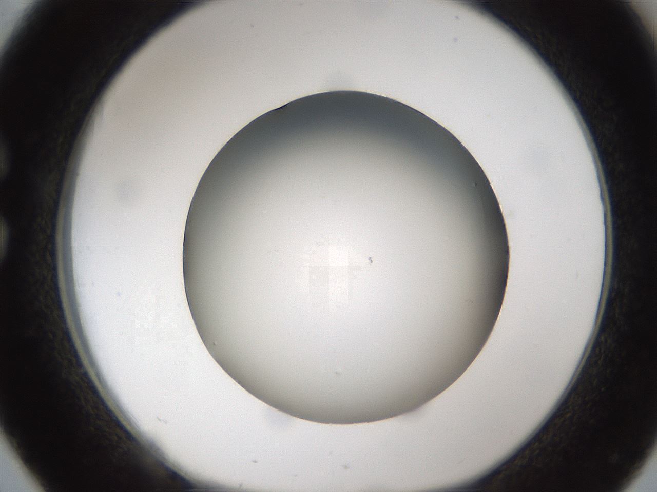 folderID301_plateID1301_batchID4294_wellNum26_profileID1_d1_r77937_ef.jpg
