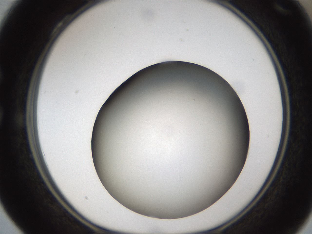 folderID301_plateID1301_batchID4294_wellNum28_profileID1_d1_r77939_ef.jpg