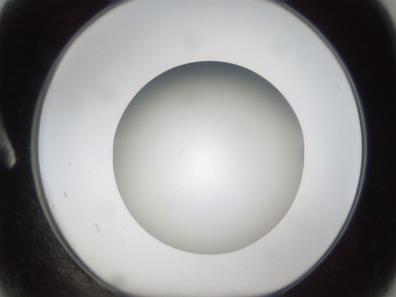folderID301_plateID1301_batchID4294_wellNum2_profileID1_d1_r77913_ef.jpg