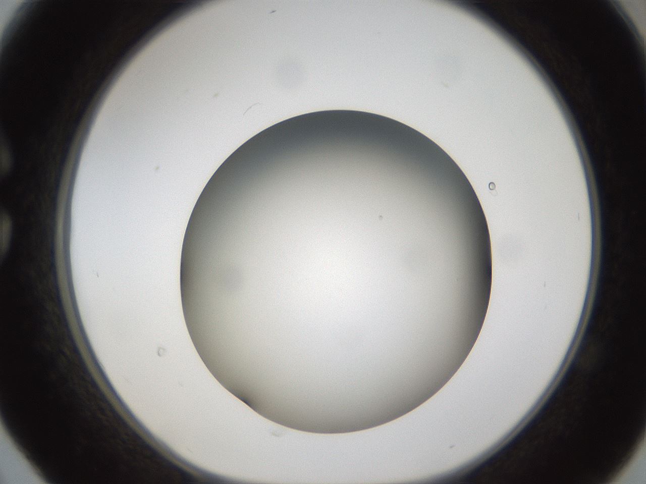 folderID301_plateID1301_batchID4294_wellNum30_profileID1_d1_r77941_ef.jpg