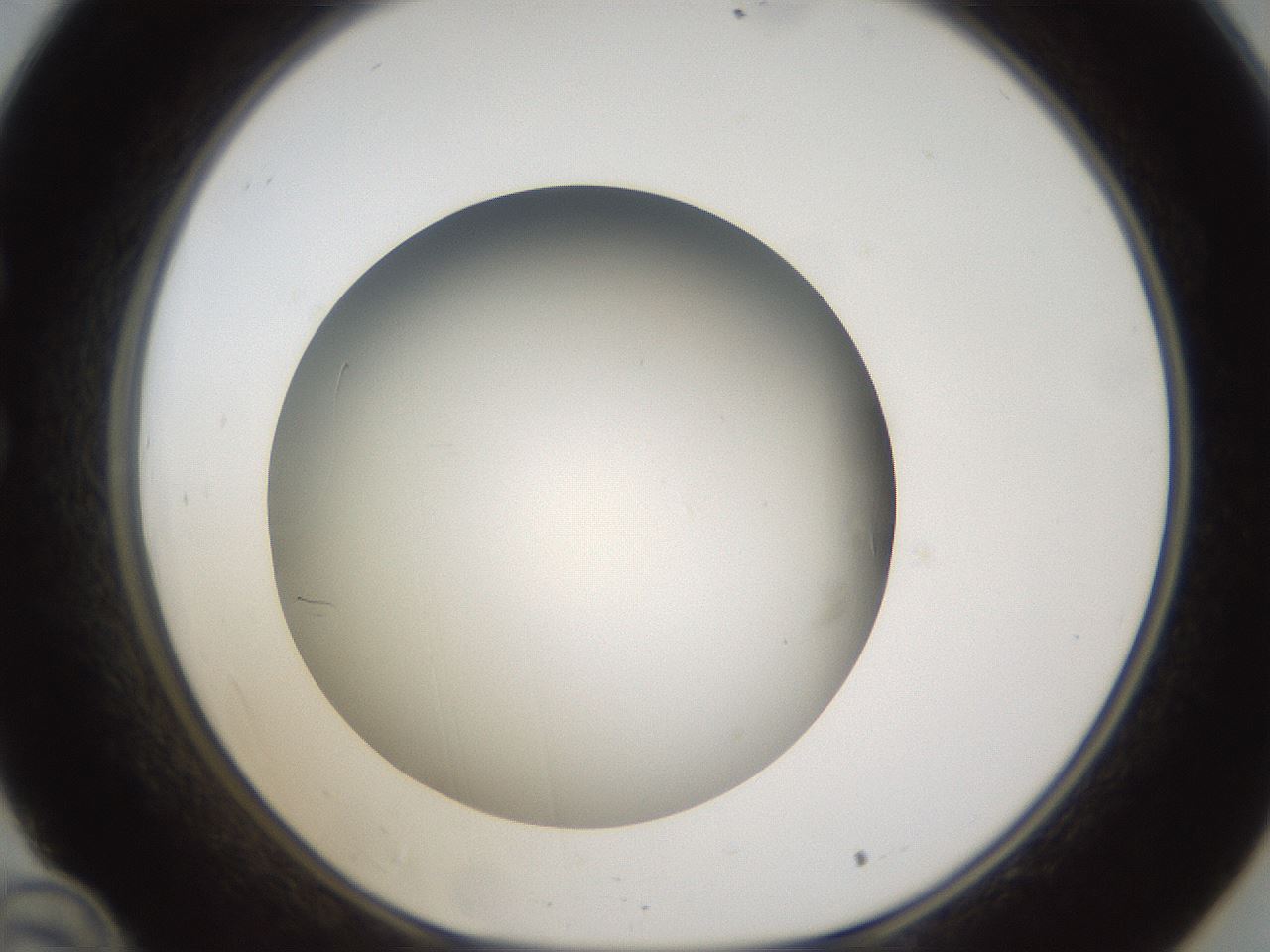 folderID301_plateID1301_batchID4294_wellNum34_profileID1_d1_r77945_ef.jpg