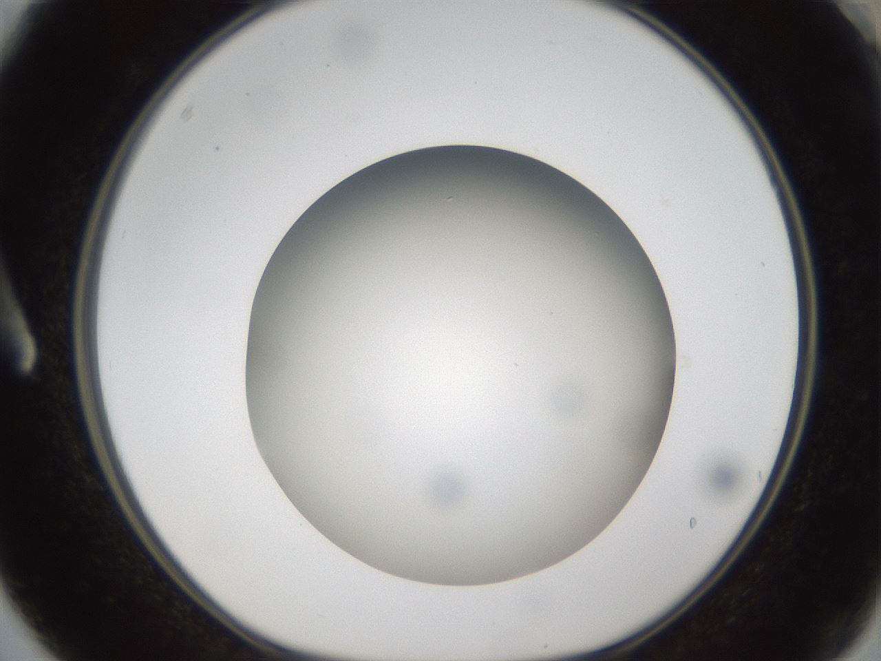 folderID301_plateID1301_batchID4294_wellNum3_profileID1_d1_r77914_ef.jpg