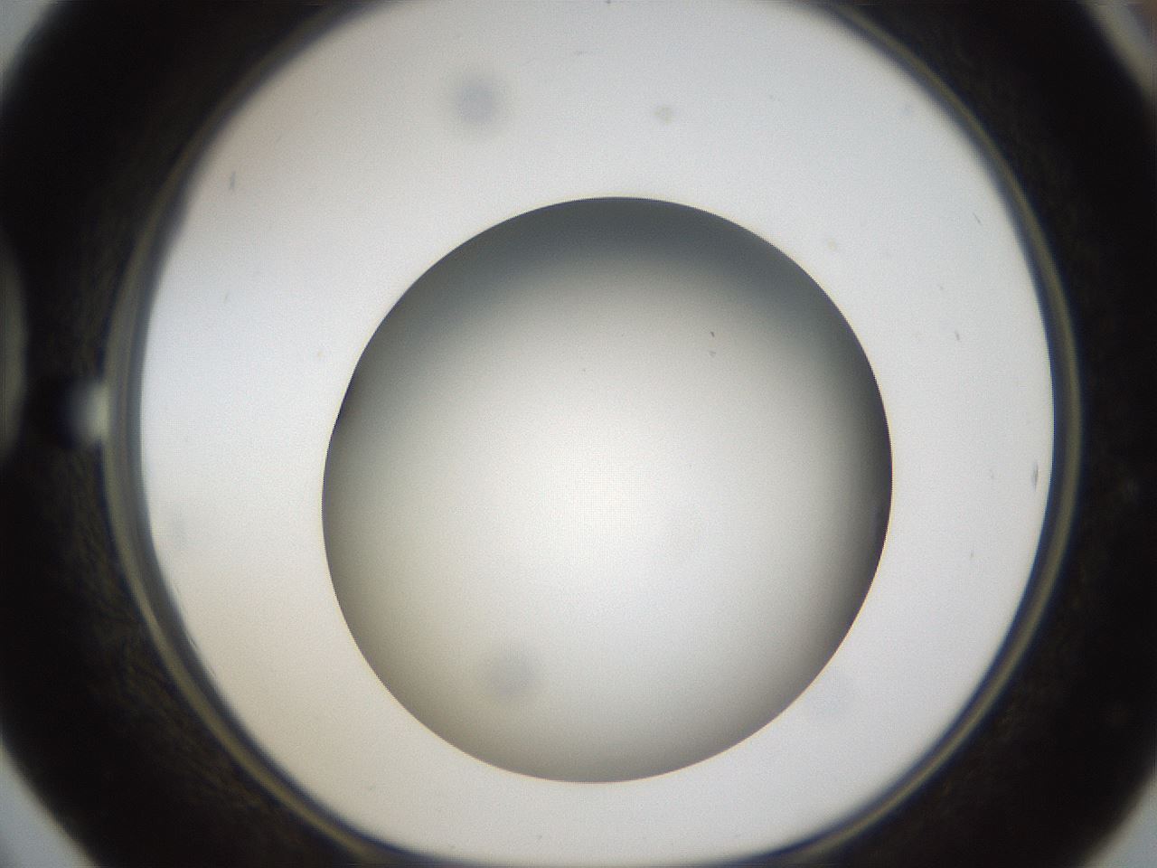 folderID301_plateID1301_batchID4294_wellNum42_profileID1_d1_r77953_ef.jpg