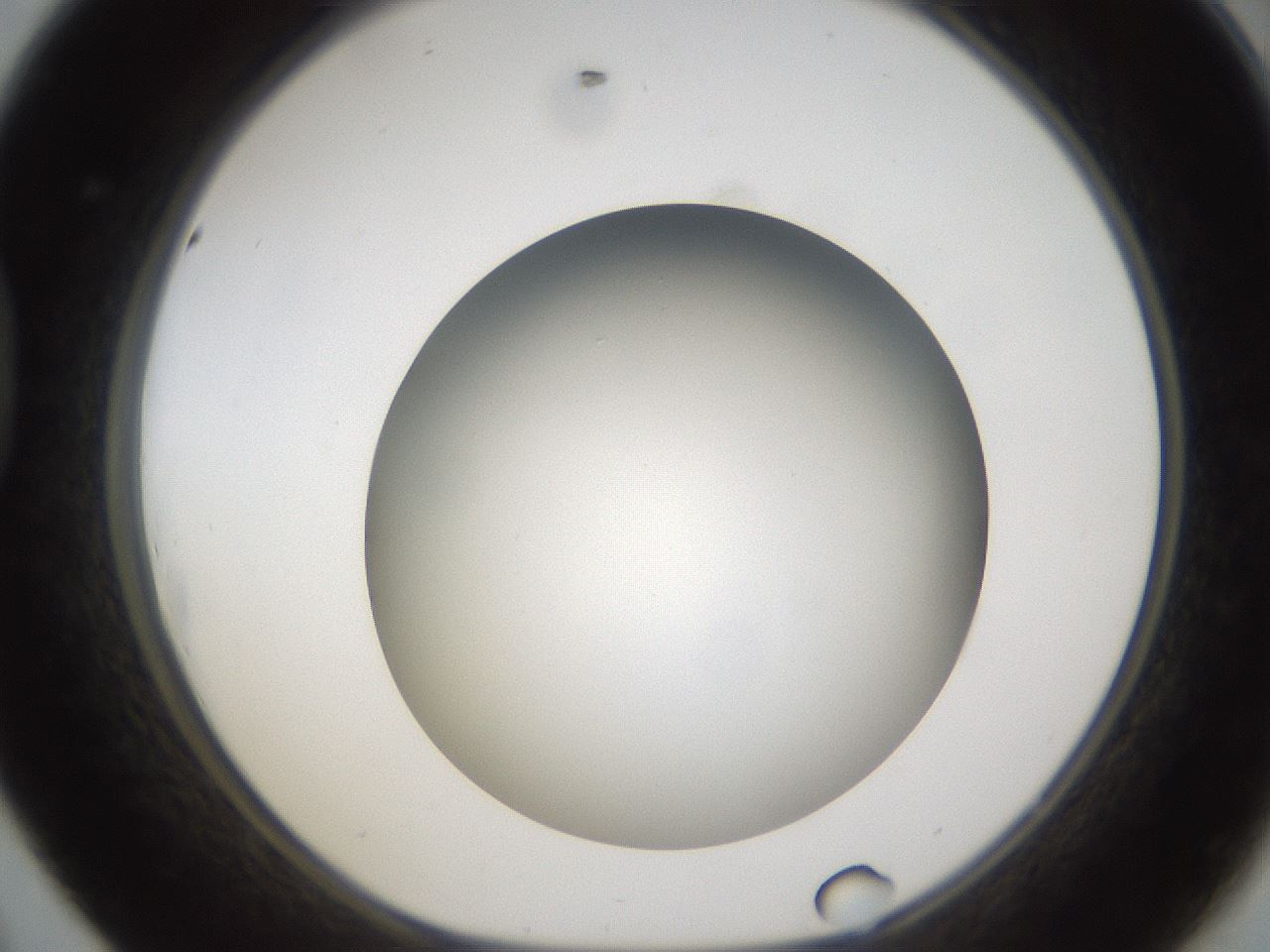 folderID301_plateID1301_batchID4294_wellNum44_profileID1_d1_r77955_ef.jpg
