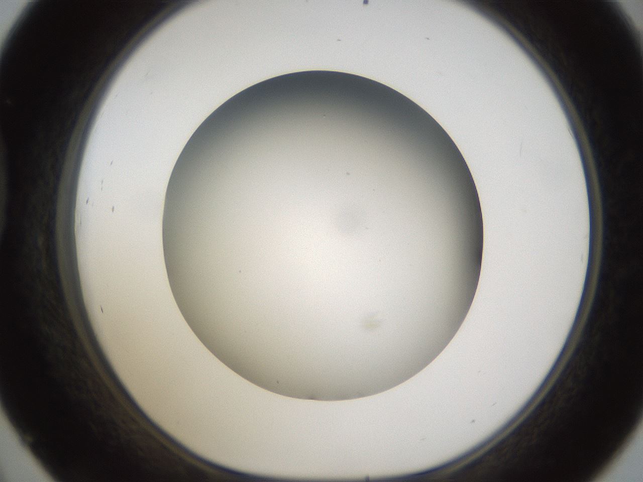 folderID301_plateID1301_batchID4294_wellNum45_profileID1_d1_r77956_ef.jpg