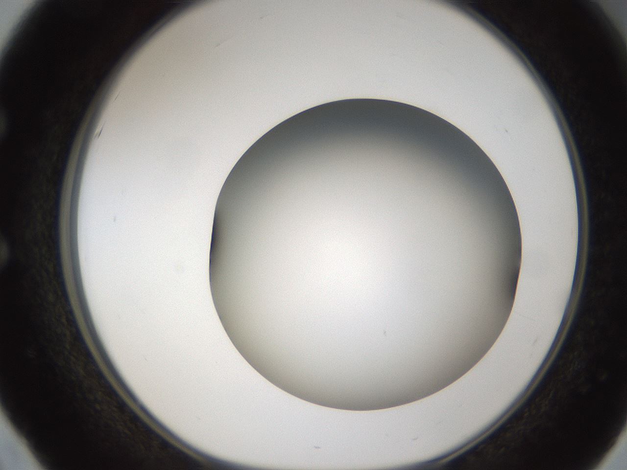 folderID301_plateID1301_batchID4294_wellNum51_profileID1_d1_r77962_ef.jpg