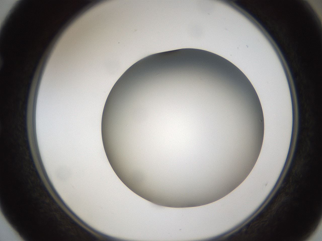 folderID301_plateID1301_batchID4294_wellNum52_profileID1_d1_r77963_ef.jpg