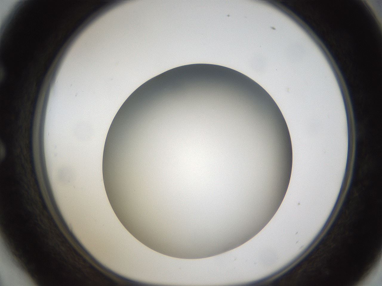 folderID301_plateID1301_batchID4294_wellNum54_profileID1_d1_r77965_ef.jpg