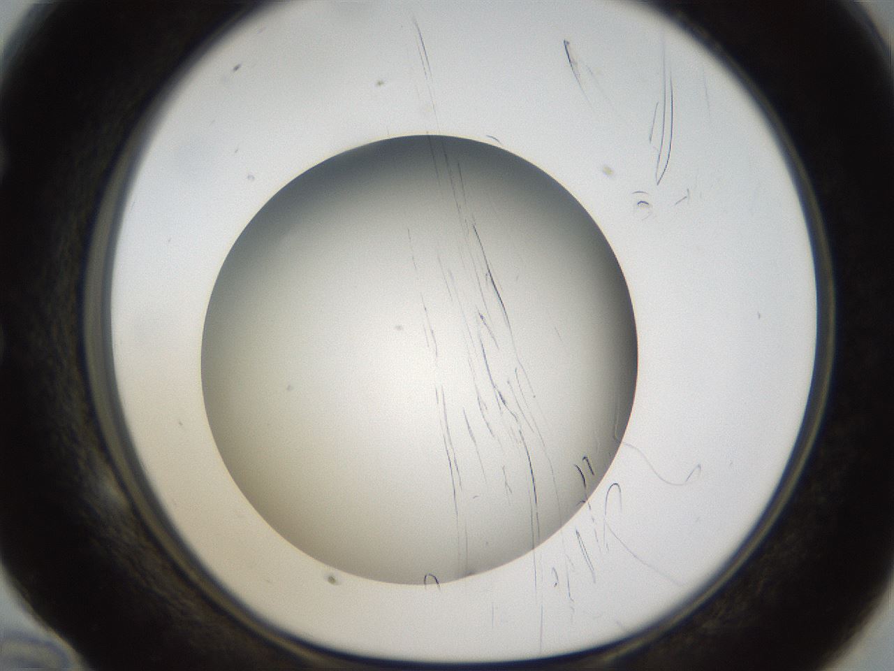 folderID301_plateID1301_batchID4294_wellNum58_profileID1_d1_r77969_ef.jpg