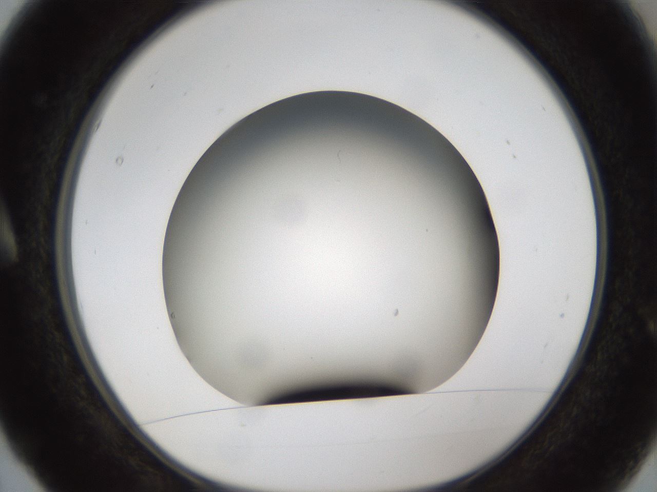 folderID301_plateID1301_batchID4294_wellNum5_profileID1_d1_r77916_ef.jpg