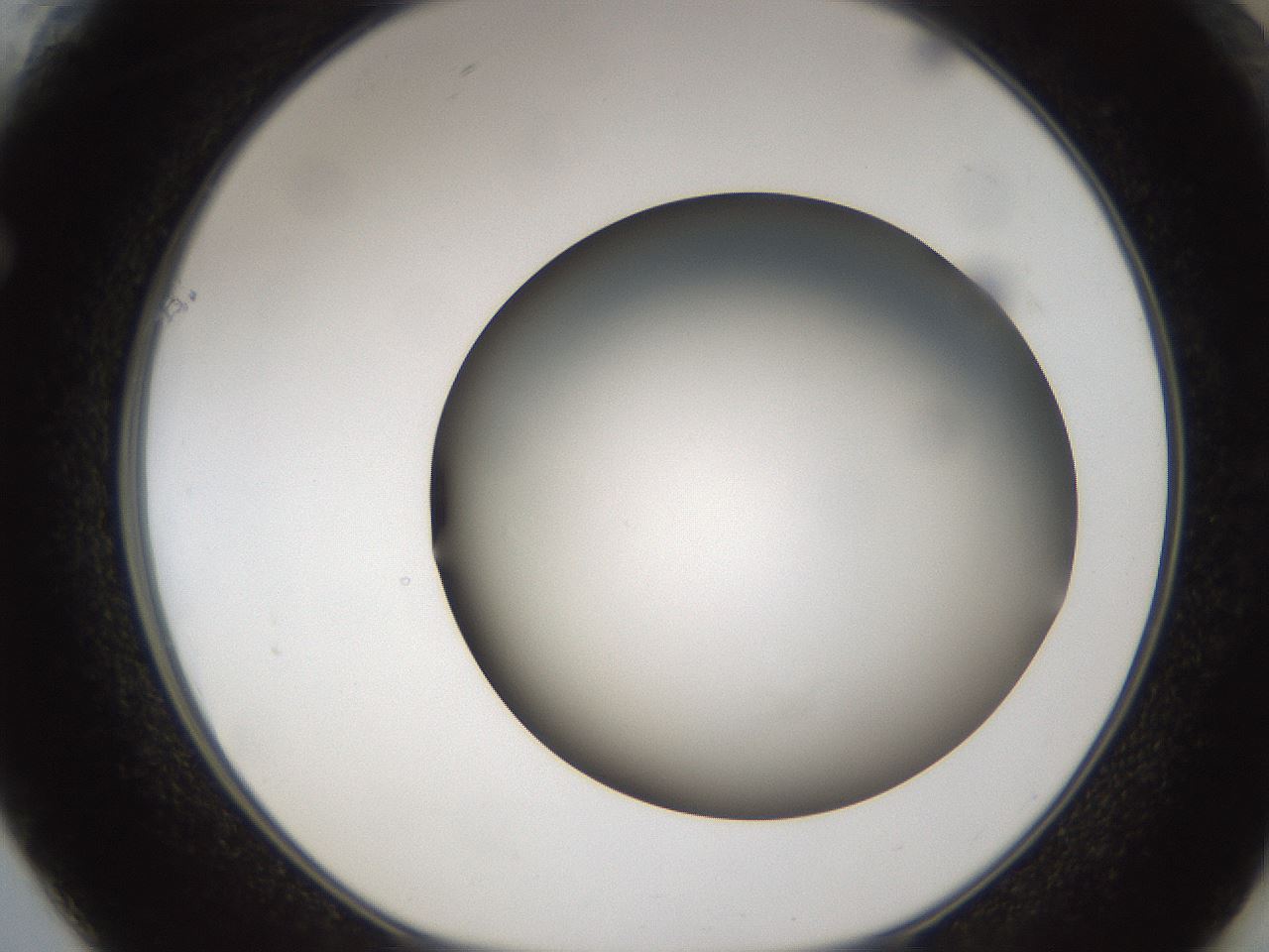 folderID301_plateID1301_batchID4294_wellNum61_profileID1_d1_r77972_ef.jpg
