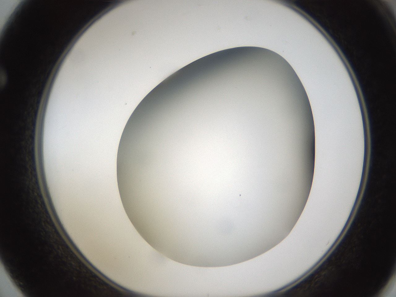 folderID301_plateID1301_batchID4294_wellNum62_profileID1_d1_r77973_ef.jpg