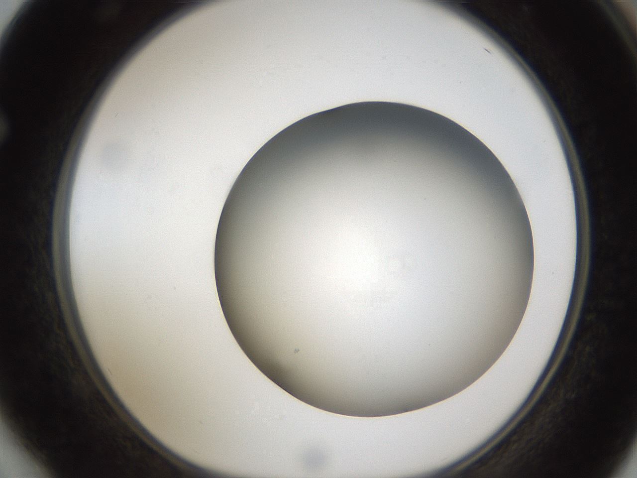 folderID301_plateID1301_batchID4294_wellNum64_profileID1_d1_r77975_ef.jpg
