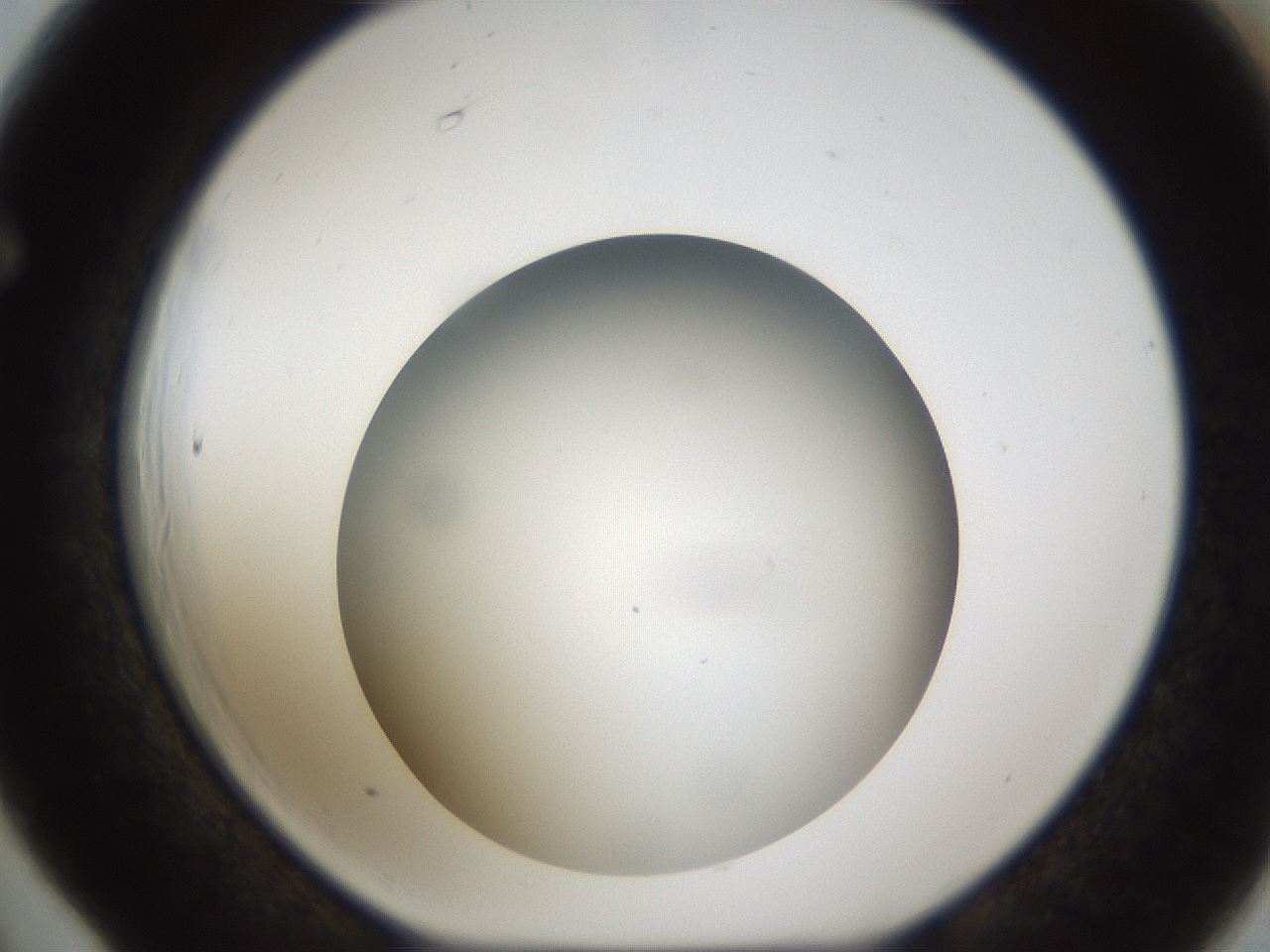 folderID301_plateID1301_batchID4294_wellNum66_profileID1_d1_r77977_ef.jpg