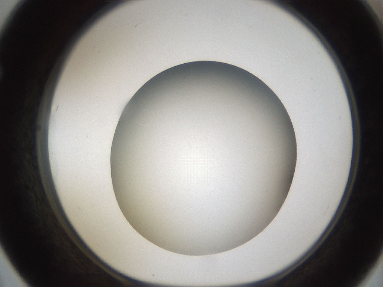 folderID301_plateID1301_batchID4294_wellNum67_profileID1_d1_r77978_ef.jpg