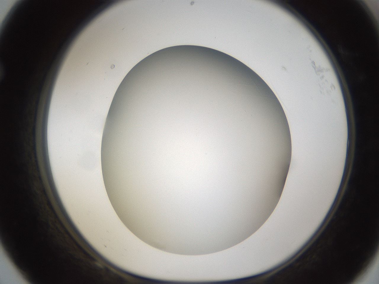 folderID301_plateID1301_batchID4294_wellNum68_profileID1_d1_r77979_ef.jpg