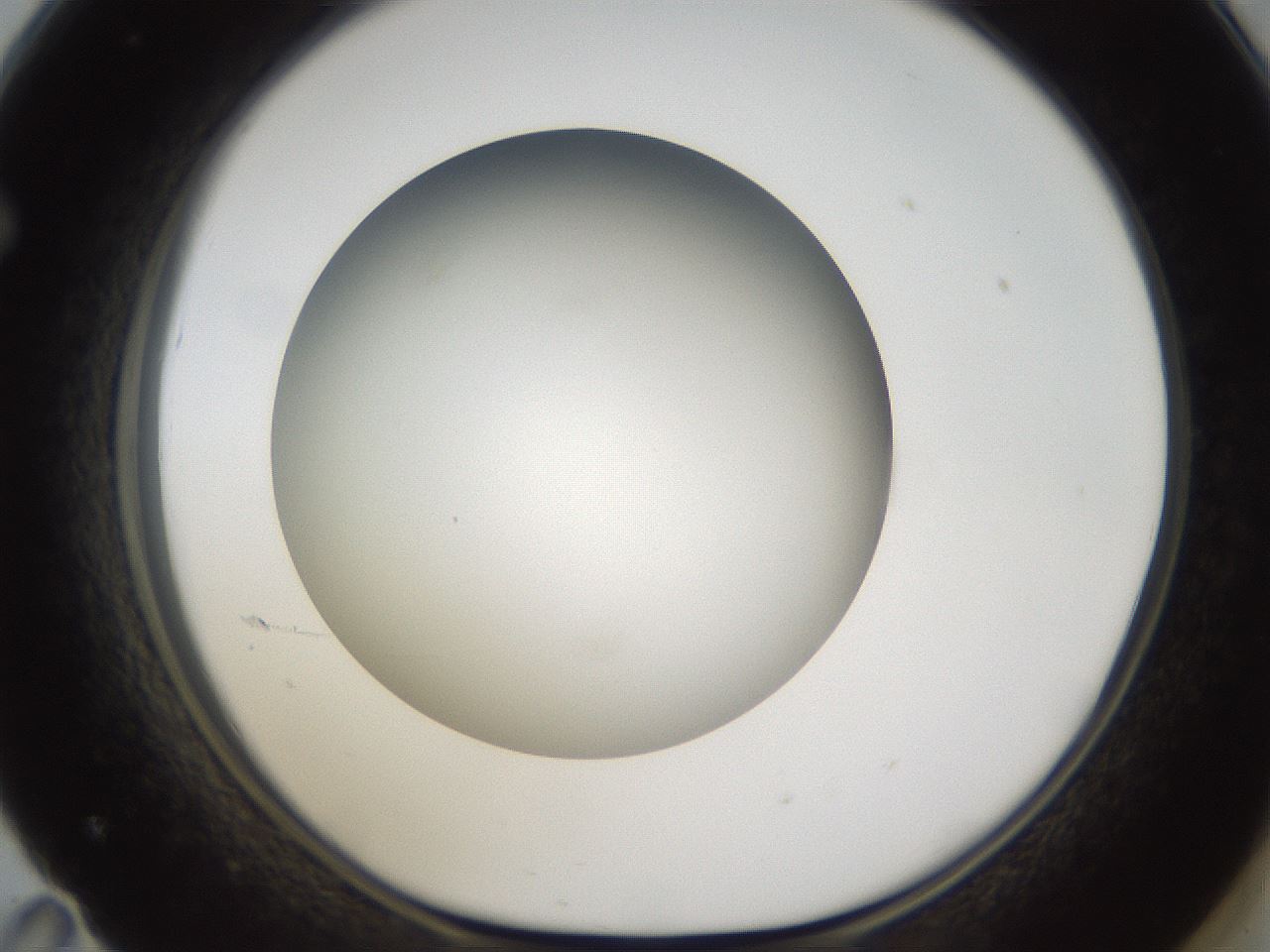 folderID301_plateID1301_batchID4294_wellNum71_profileID1_d1_r77982_ef.jpg