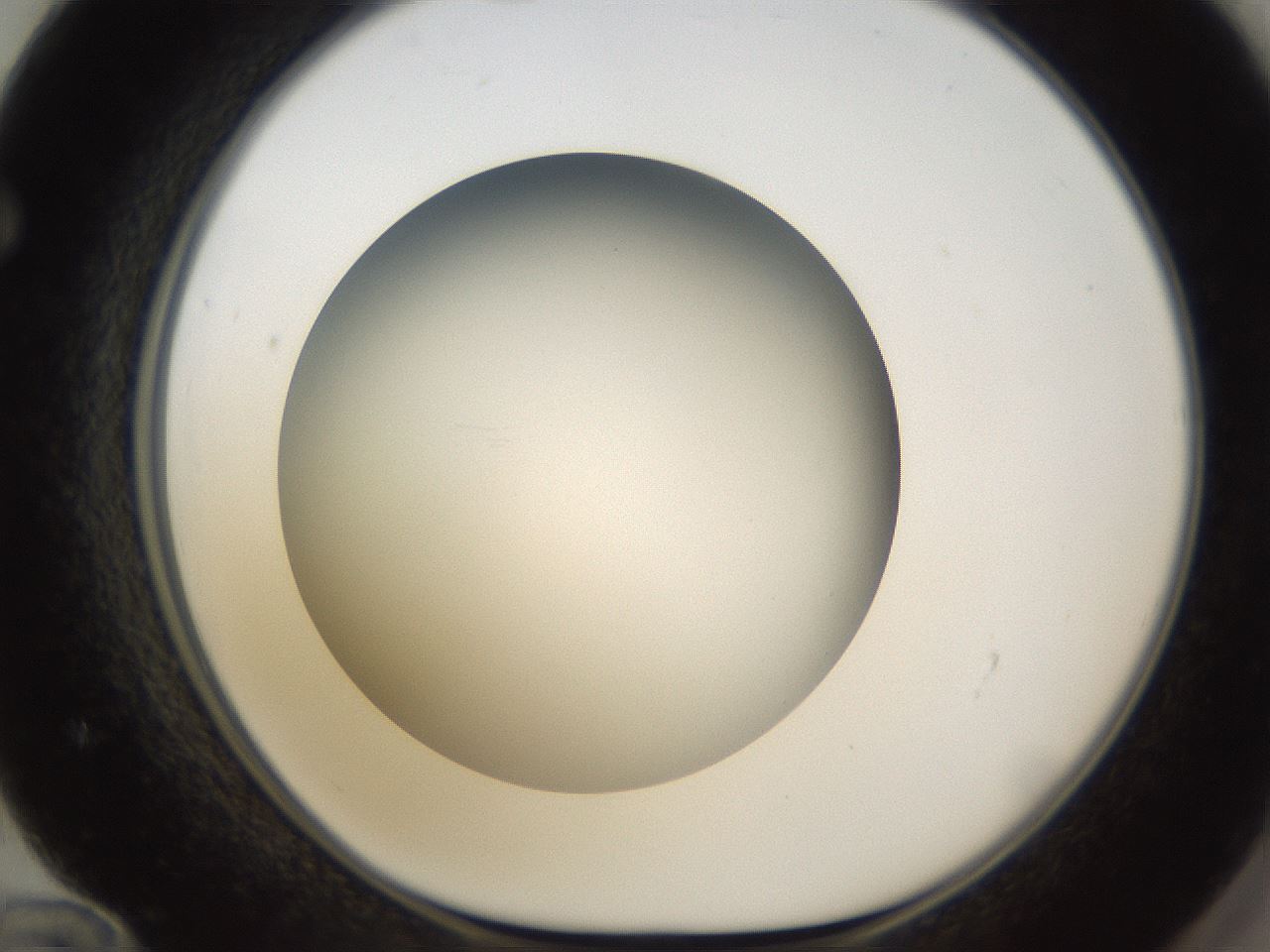 folderID301_plateID1301_batchID4294_wellNum72_profileID1_d1_r77983_ef.jpg