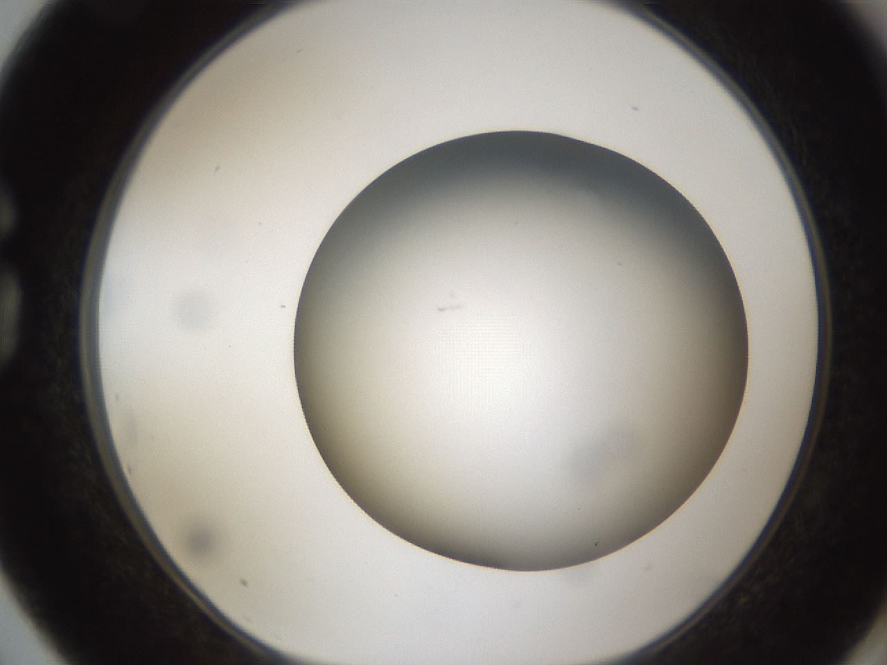 folderID301_plateID1301_batchID4294_wellNum75_profileID1_d1_r77986_ef.jpg