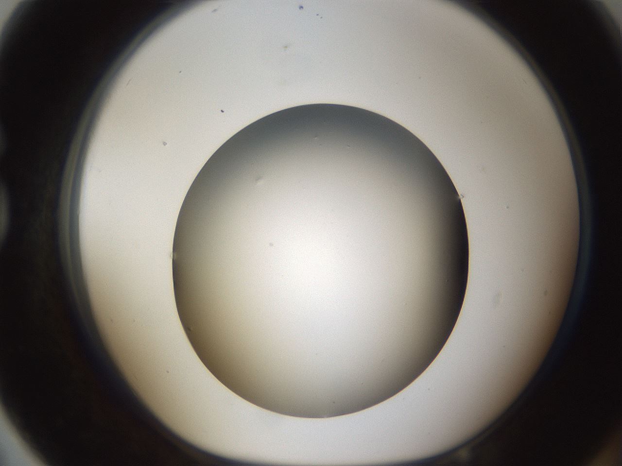 folderID301_plateID1301_batchID4294_wellNum79_profileID1_d1_r77990_ef.jpg