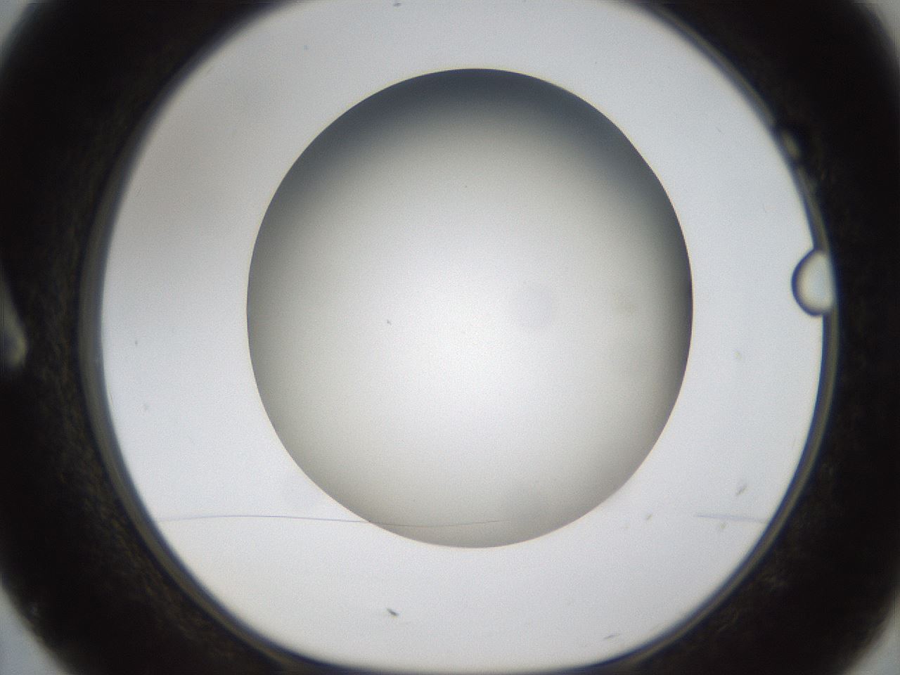 folderID301_plateID1301_batchID4294_wellNum7_profileID1_d1_r77918_ef.jpg
