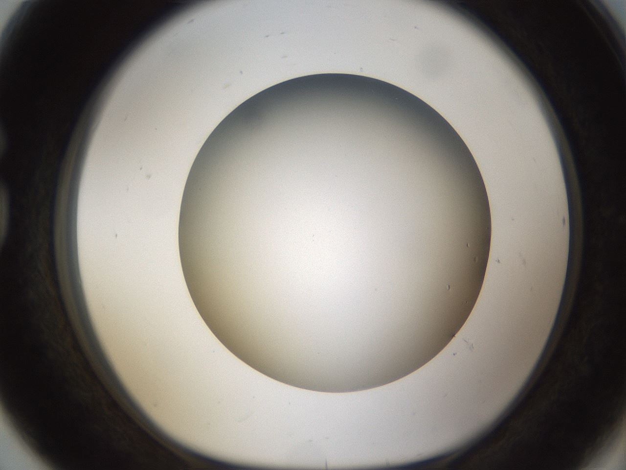 folderID301_plateID1301_batchID4294_wellNum80_profileID1_d1_r77991_ef.jpg