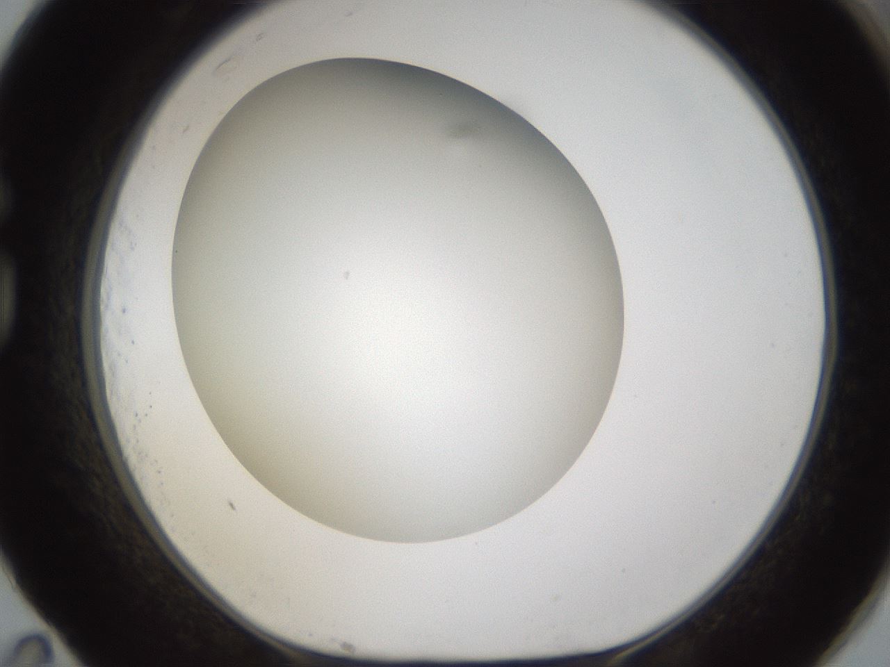 folderID301_plateID1301_batchID4294_wellNum83_profileID1_d1_r77994_ef.jpg
