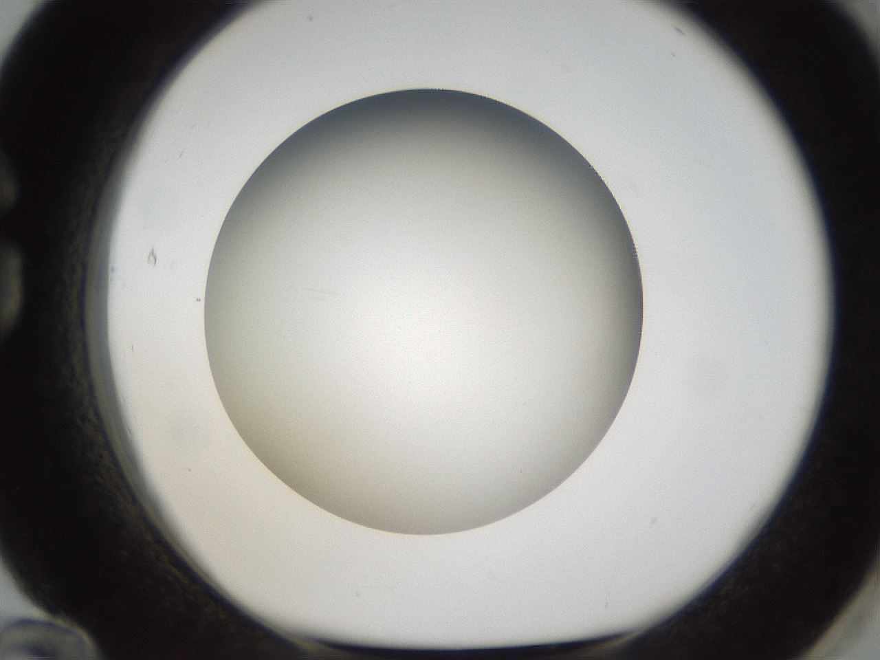 folderID301_plateID1301_batchID4294_wellNum84_profileID1_d1_r77995_ef.jpg