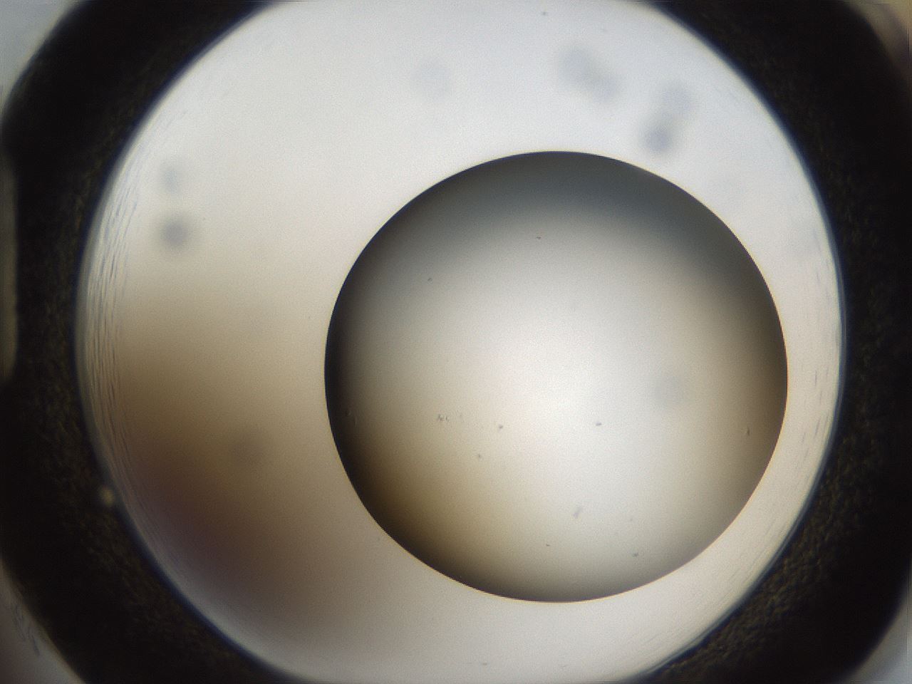 folderID301_plateID1301_batchID4294_wellNum85_profileID1_d1_r77996_ef.jpg