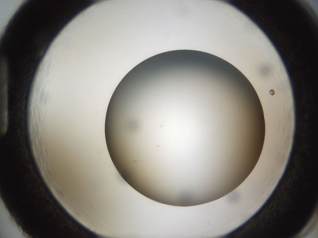 folderID301_plateID1301_batchID4294_wellNum86_profileID1_d1_r77997_ef.jpg