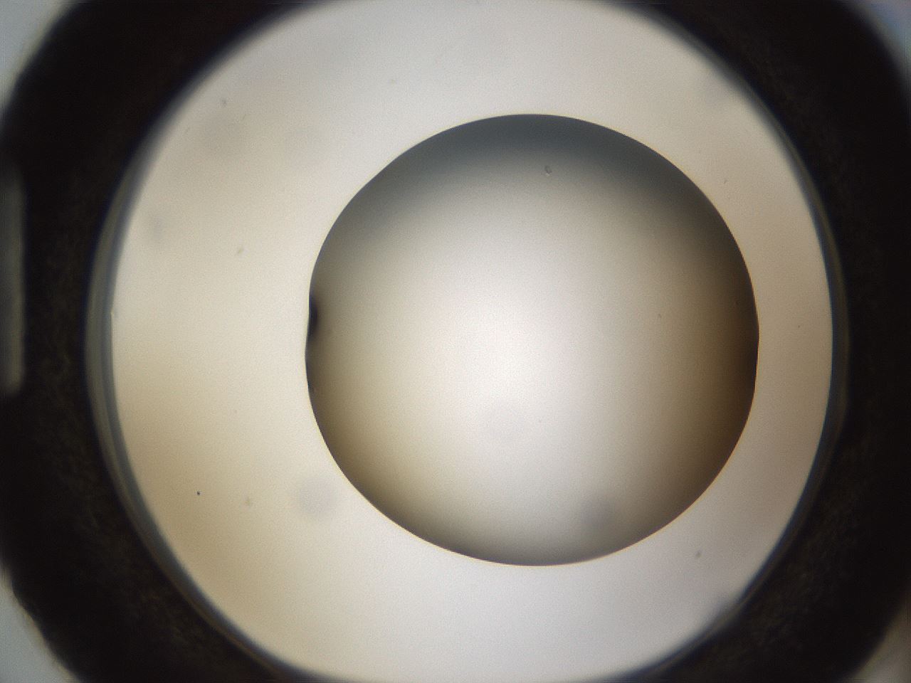 folderID301_plateID1301_batchID4294_wellNum87_profileID1_d1_r77998_ef.jpg