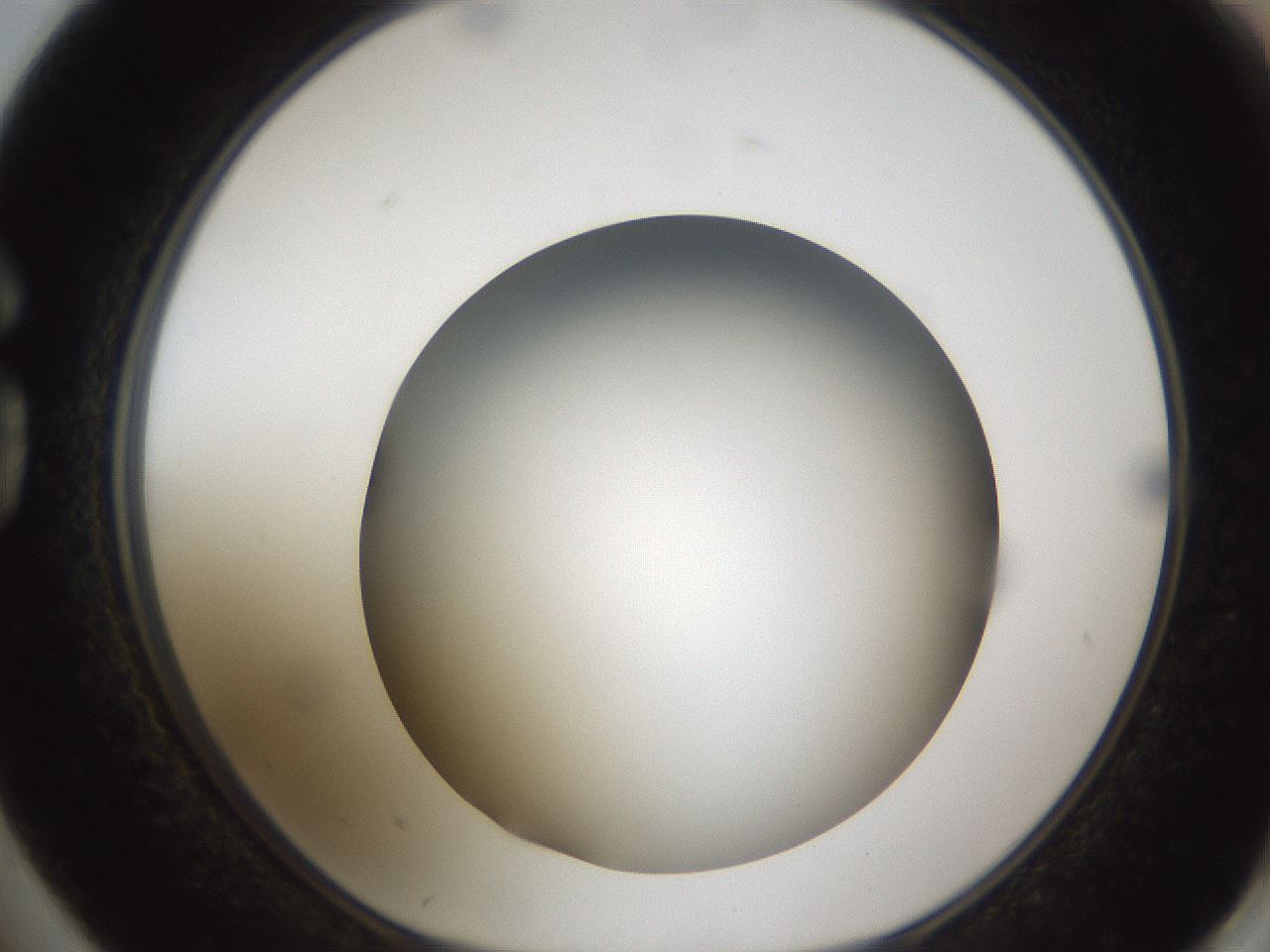 folderID301_plateID1301_batchID4294_wellNum74_profileID1_d1_r77985_ef.jpg