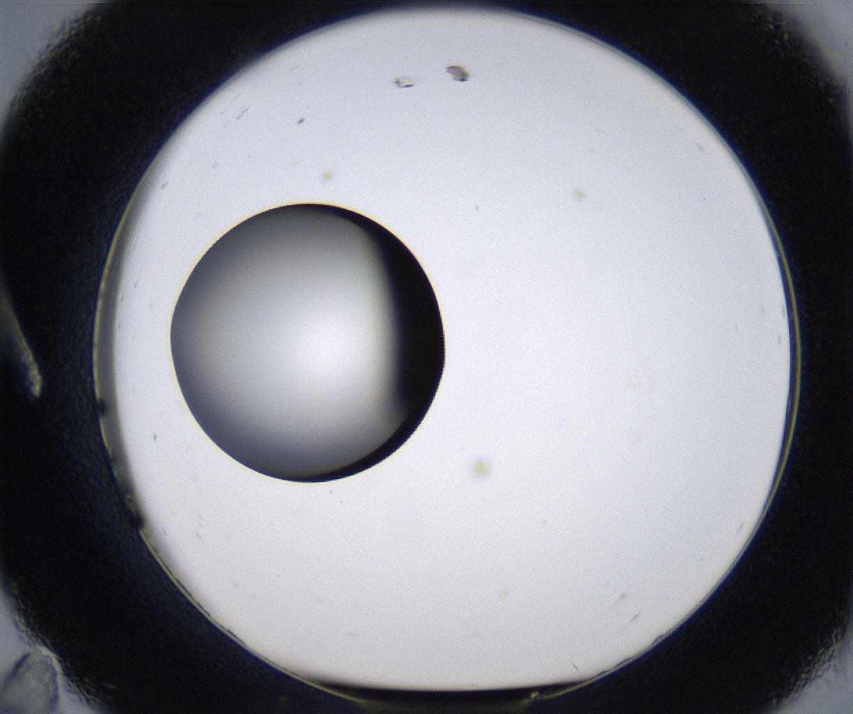 folderID301_plateID2301_batchID10847_wellNum11_profileID1_d1_r161048_ef.jpg