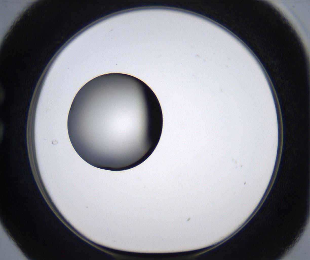 folderID301_plateID2301_batchID10847_wellNum29_profileID1_d1_r161066_ef.jpg