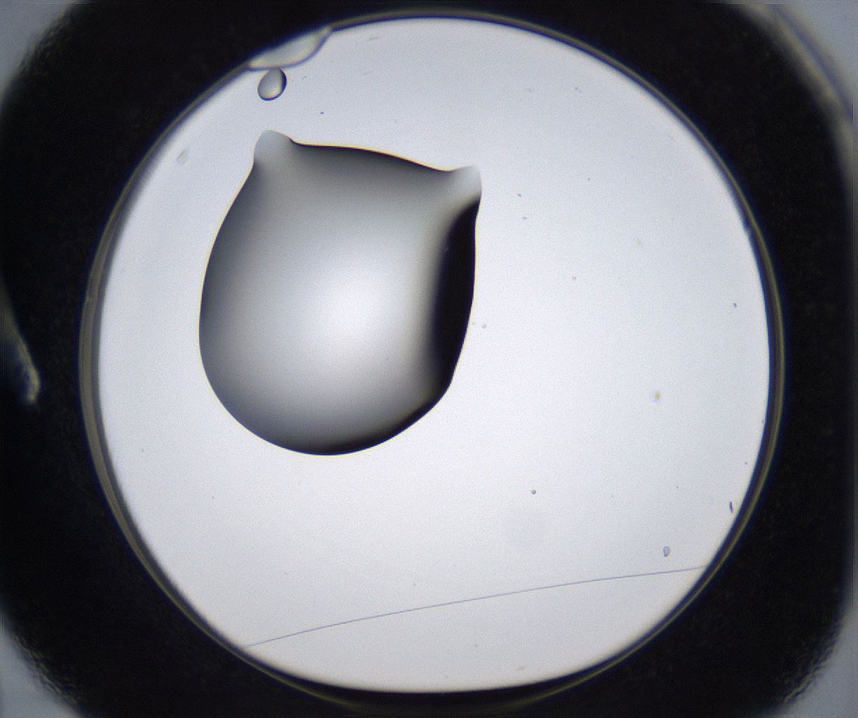 folderID301_plateID2301_batchID10847_wellNum3_profileID1_d1_r161040_ef.jpg