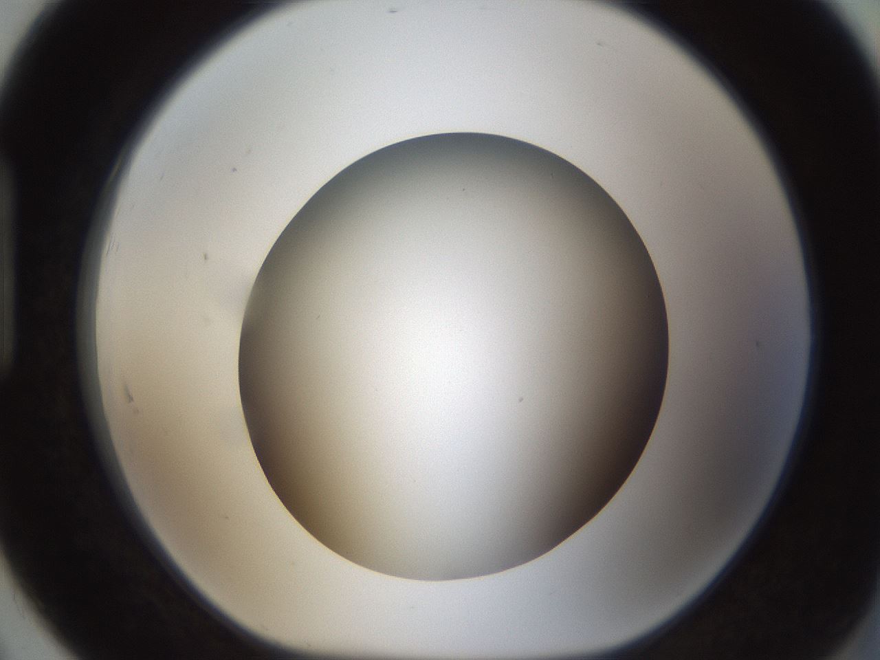 folderID301_plateID1301_batchID4294_wellNum91_profileID1_d1_r78002_ef.jpg