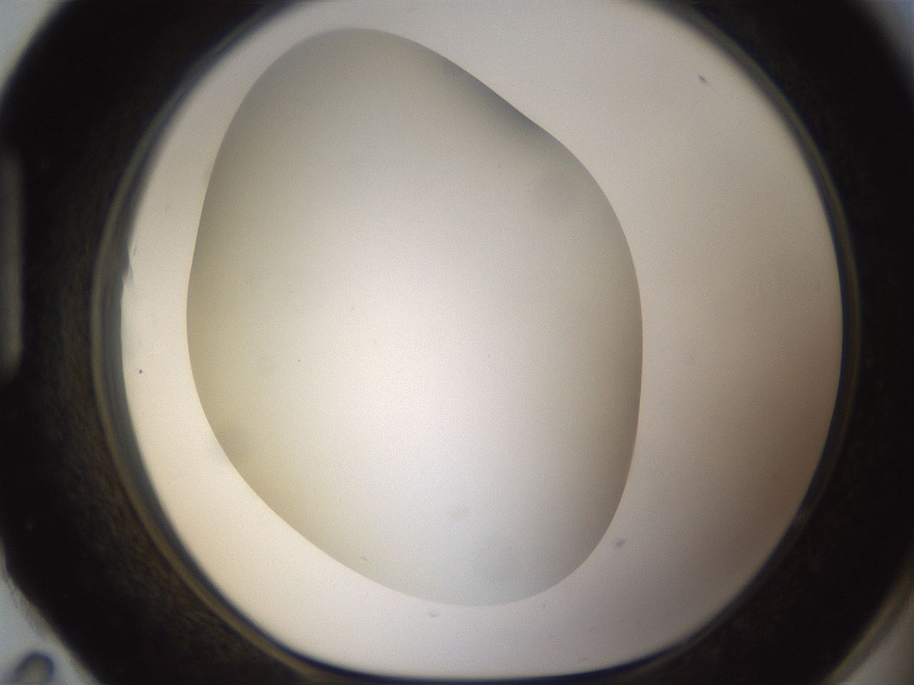 folderID301_plateID1301_batchID4294_wellNum95_profileID1_d1_r78006_ef.jpg
