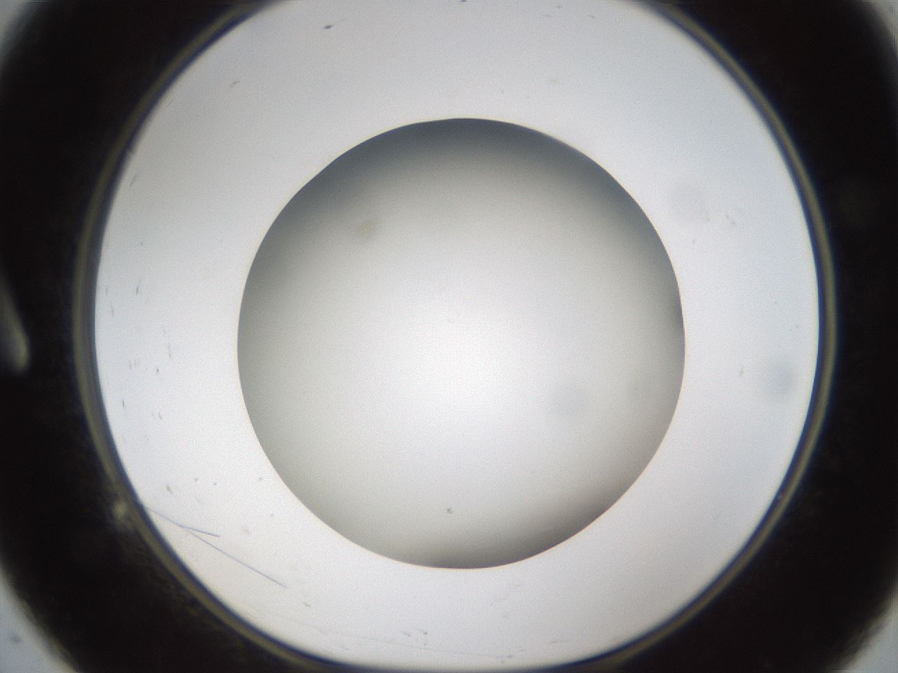 folderID301_plateID1301_batchID4294_wellNum9_profileID1_d1_r77920_ef.jpg