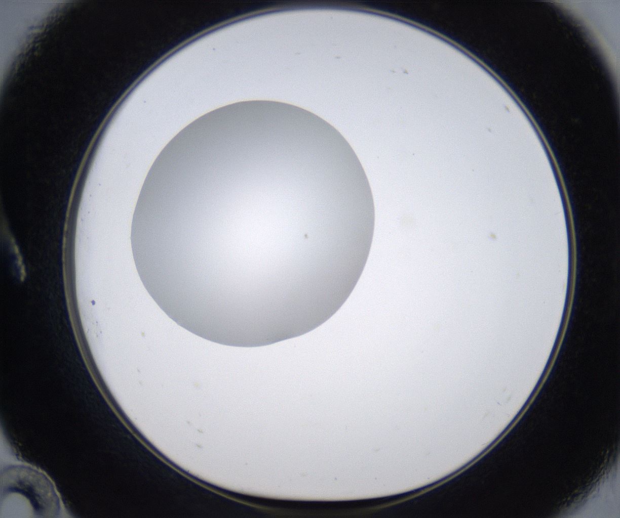folderID301_plateID2301_batchID10847_wellNum10_profileID1_d1_r161047_ef.jpg
