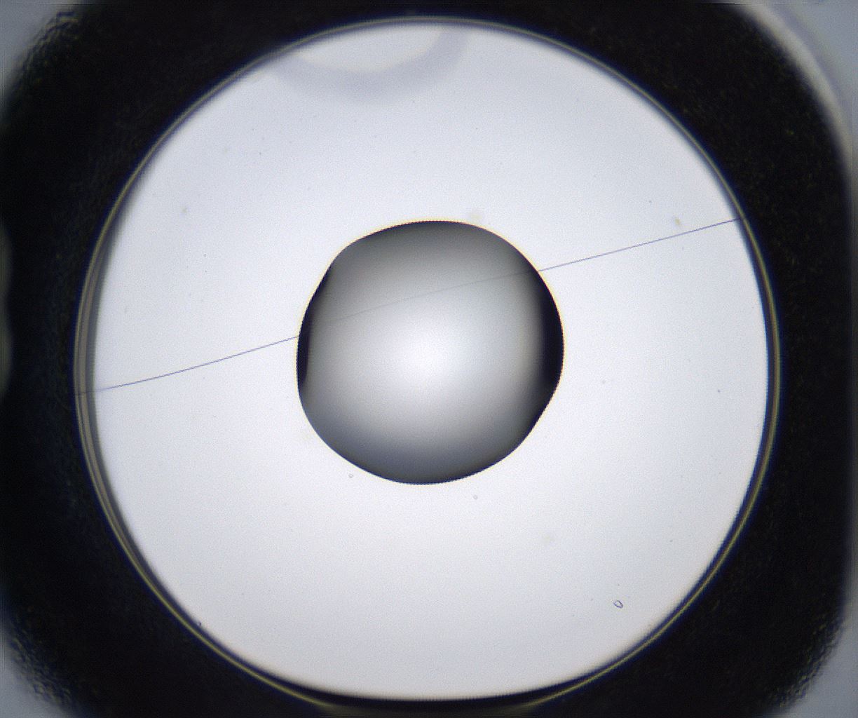 folderID301_plateID2301_batchID10847_wellNum13_profileID1_d1_r161050_ef.jpg