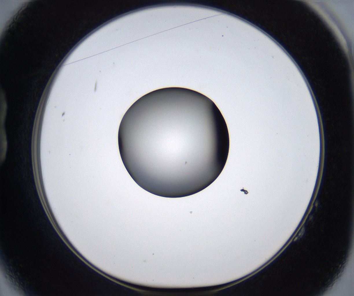 folderID301_plateID2301_batchID10847_wellNum14_profileID1_d1_r161051_ef.jpg