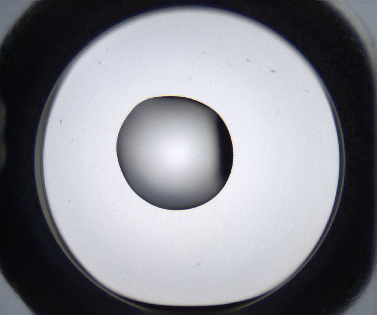 folderID301_plateID2301_batchID10847_wellNum17_profileID1_d1_r161054_ef.jpg